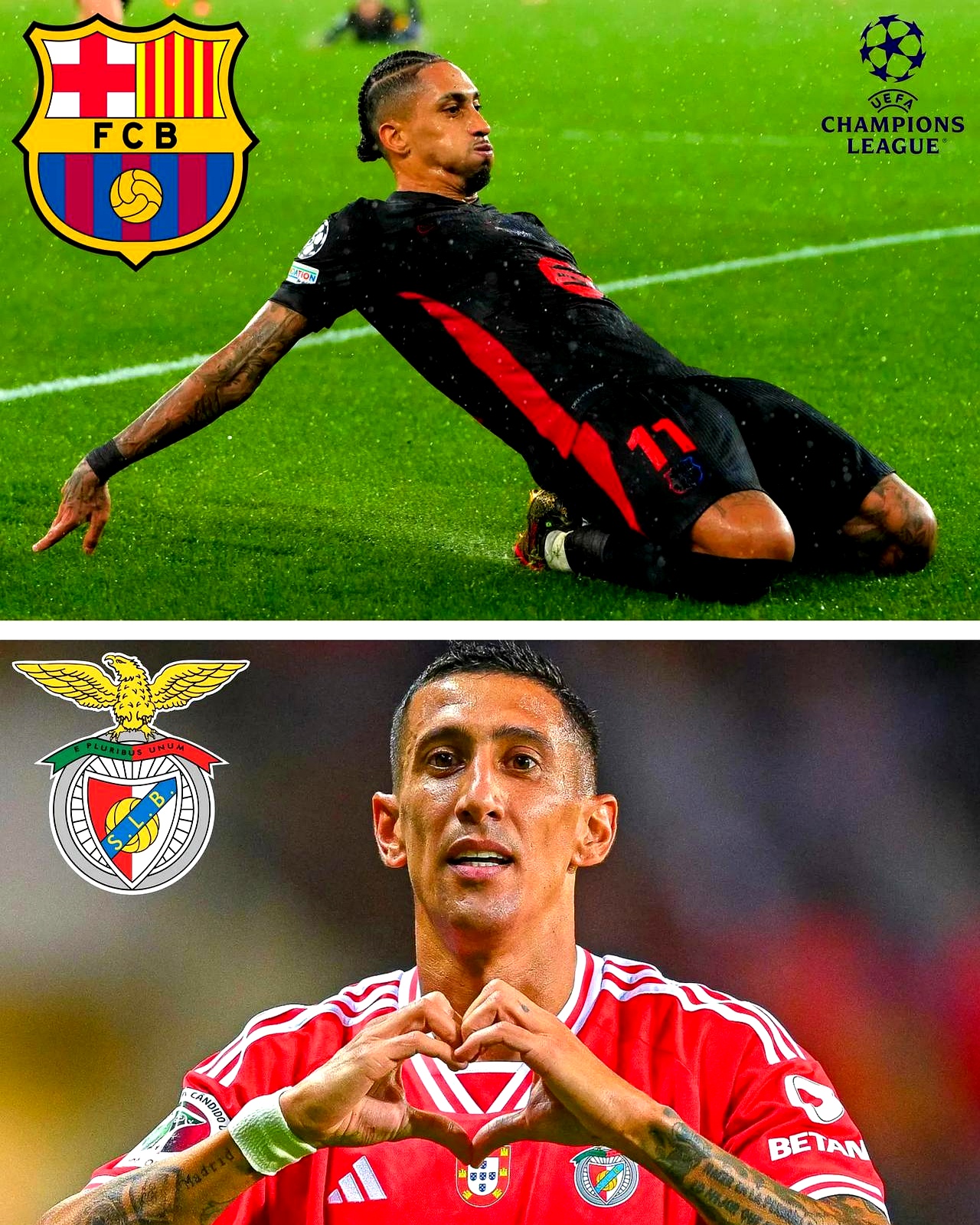 关于里程碑夜本菲卡豪取连胜，意大利杯今晚刷纪录，压力陡增，赛程密集仍需轮换的信息