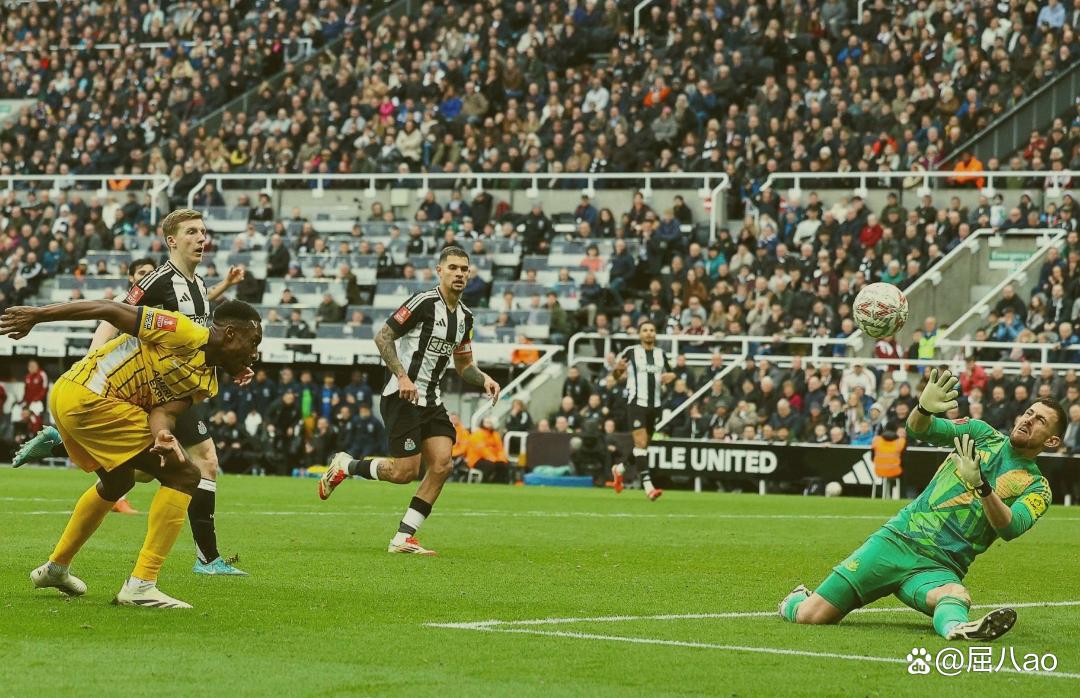 严明的纪律约束