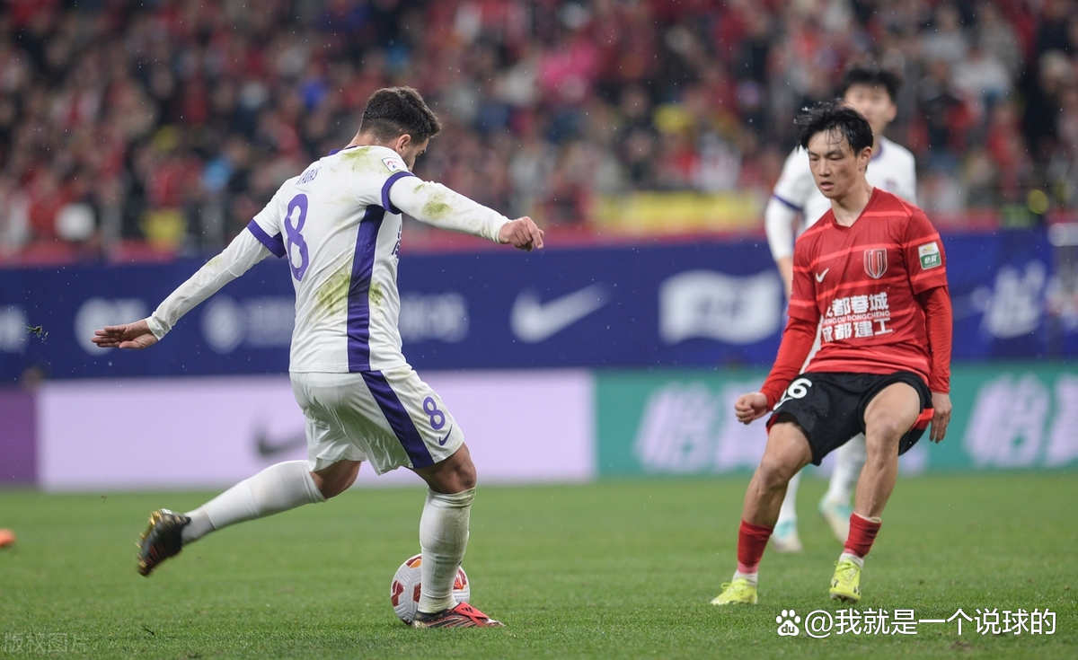 成都蓉城一线队名单 成都蓉城一线队名单