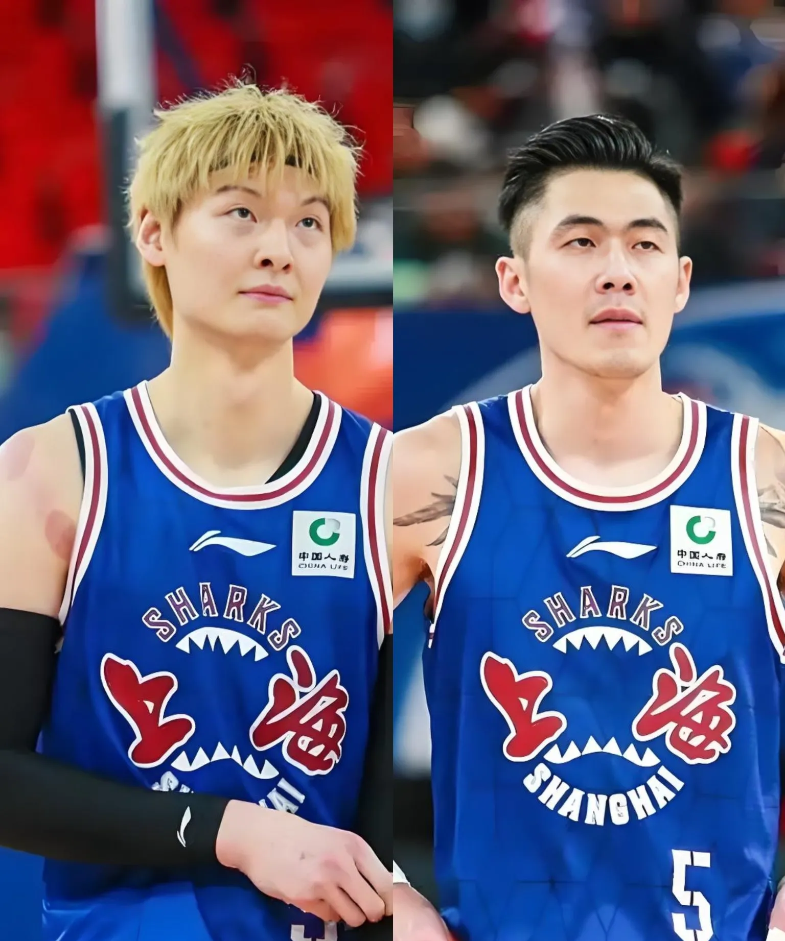 CBA常规赛转会期走向成谜,上海申花豪取连胜,信心回归,医务组通报恢复(cmd无限弹窗命令怎么解除) CBA常规赛转会期走向成谜,上海申花豪取连胜,信心回归,医务组通报恢复(cmd无限弹窗命令怎么解除)