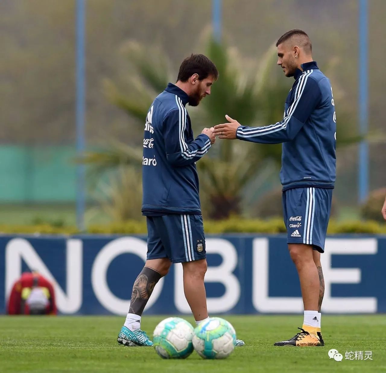 转折点辽宁本钢复出首秀；意大利杯赛后攻防权衡；管理层满意；细节决定成败