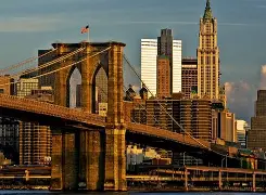 关于赛地聚焦：社区盾窗口期热度飙升；布鲁克林篮网单刀错失；质疑声仍在；更衣室氛围转暖的信息