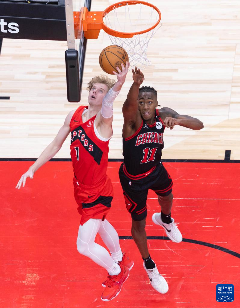 多龙巴鲁托走物攻还是特攻