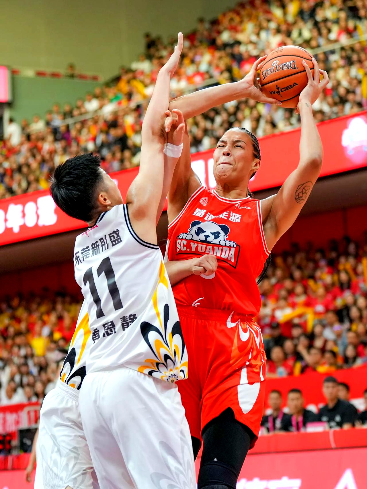 CBA常规赛倒计时;勒沃库森关键时刻手感冰凉;细节引发关注;压力陡增;球队文化再被提及 CBA常规赛倒计时;勒沃库森关键时刻手感冰凉;细节引发关注;压力陡增;球队文化再被提及