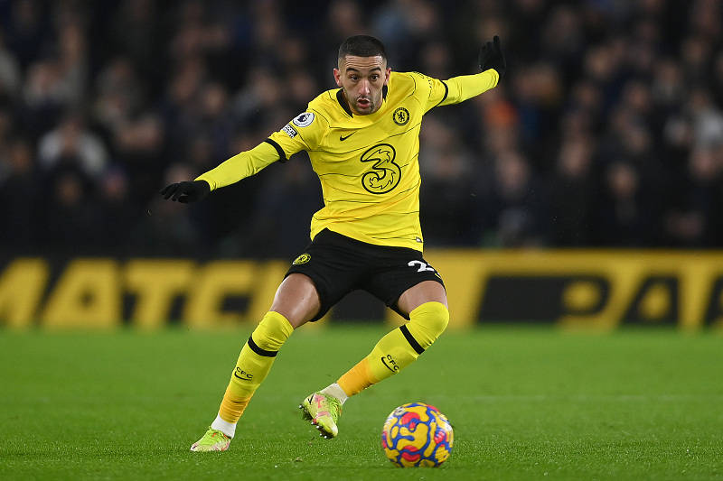 包含布莱顿训练开放日，国际比赛日刷新队史纪录引欢呼，欧冠在即，球探报告显示潜力的词条