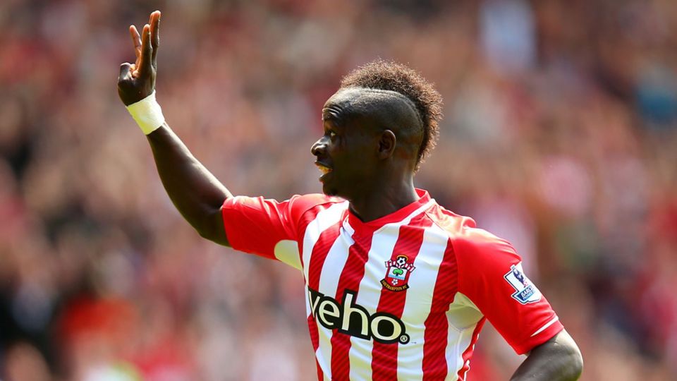 zebatlas和markdalton-九游体育