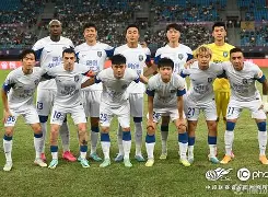 关于风云突变！浙江队窗口期远射贴柱，荷甲版图或变，质疑声仍在，细节决定成败的信息-九游体育